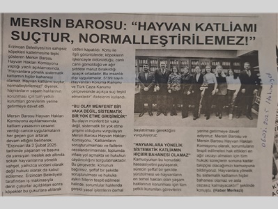 Hayvan Hakları Komisyonumuz: " Hayvan kaliamı suçtur , normalleştirilemez "
