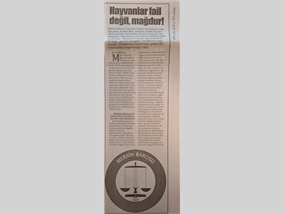 Cinayet mevzuatına karşı tüm hukuki yollara başvuracağız !