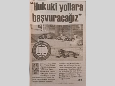 Cinayet mevzuatına karşı tüm hukuki yollara başvuracağız !