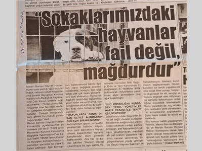 Cinayet mevzuatına karşı tüm hukuki yollara başvuracağız !