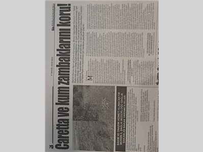 Mersin Barosu, yavru deniz kaplumbağaları ve kum zambakları için imza kampanyası başlattı