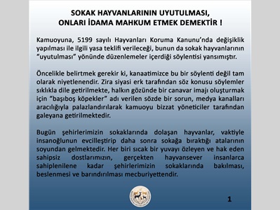 SOKAK HAYVANLARININ UYUTULMASI, ONLARI İDAMA MAHKUM ETMEK DEMEKTİR !