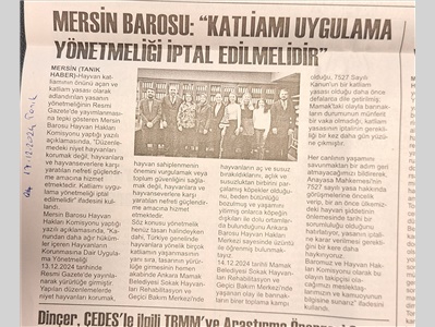 Katliam yasası yönetmeliğine tepki