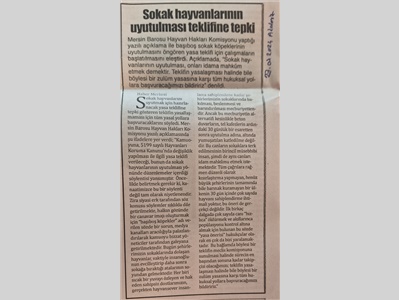 Sokak hayvanlarının uyutulması, onları idama mahkum etmek demektir !