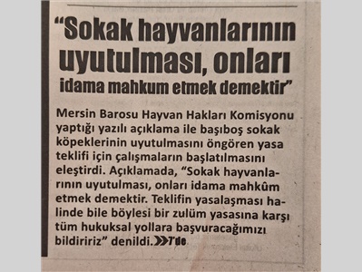 Sokak hayvanlarının uyutulması, onları idama mahkum etmek demektir !