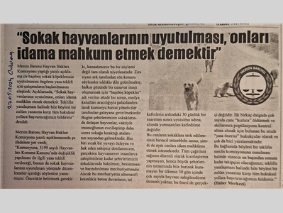 Sokak hayvanlarının uyutulması, onları idama mahkum etmek demektir !