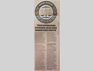Sokak hayvanlarının uyutulması, onları idama mahkum etmek demektir !