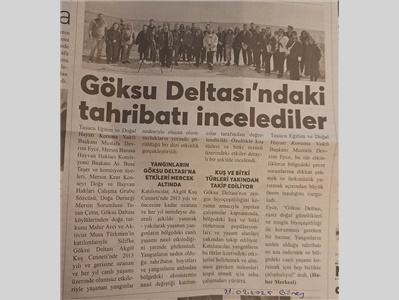 Göksu Deltası'nda inceleme yapıldı