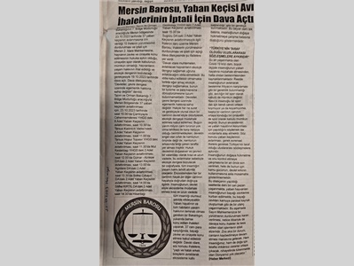 Mersin Barosu 37 yaban keçisi ihalesinin iptali için dava açtı
